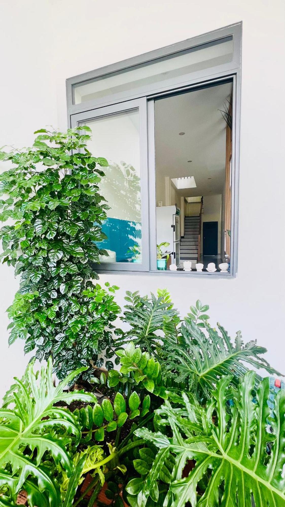 Phi Homestay 3 Room Near Sea, Center - 1988 Homestay 头顿 外观 照片